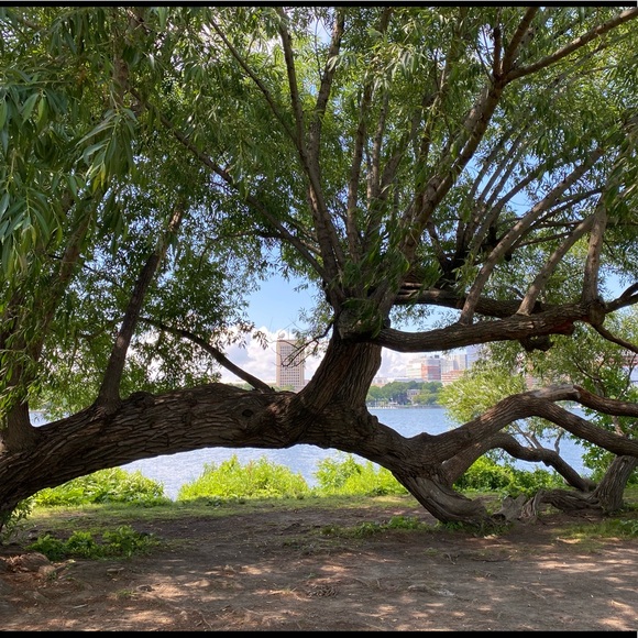 Hi and Welcome to My Closet 💜 - Picture 10 of 12